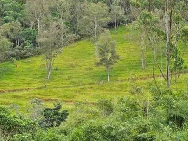 #32 - Chácara para Venda em São José dos Campos - SP - 2